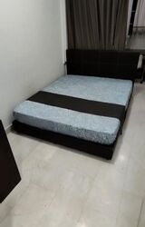 Balestier Plaza (D12), Apartment #485726421